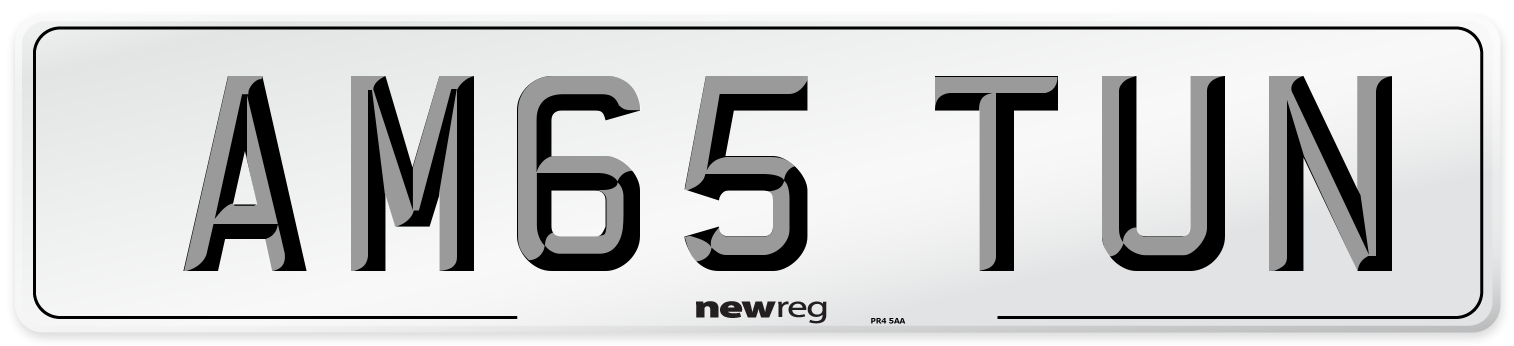 AM65 TUN Number Plate from New Reg